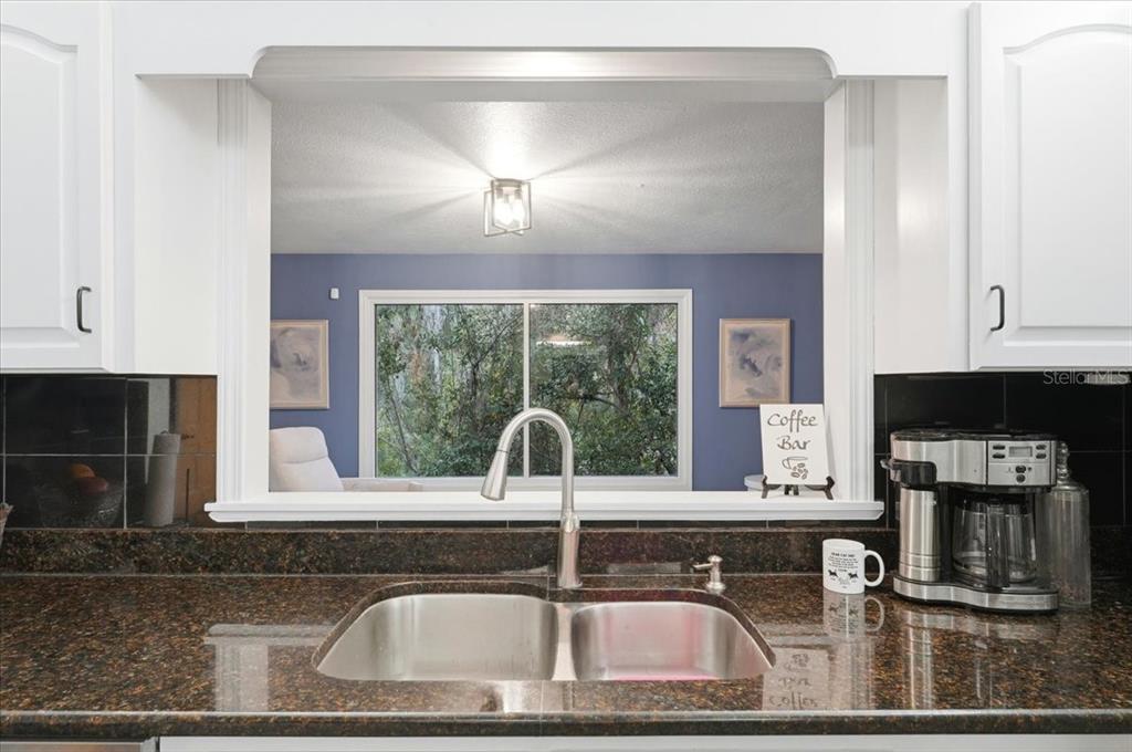 4703 Rambling River Road Brandon, FL 33511 - Photo 36 of 62 a kitchen with a sink and a window