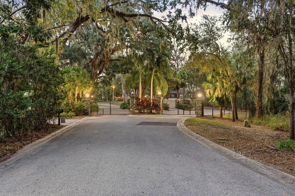 4703 Rambling River Road Brandon, FL 33511 - Photo 61 of 65