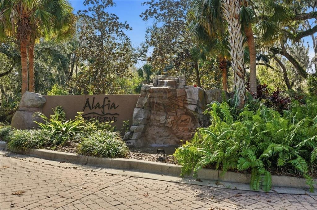 4703 Rambling River Road Brandon, FL 33511 - Photo 63 of 65