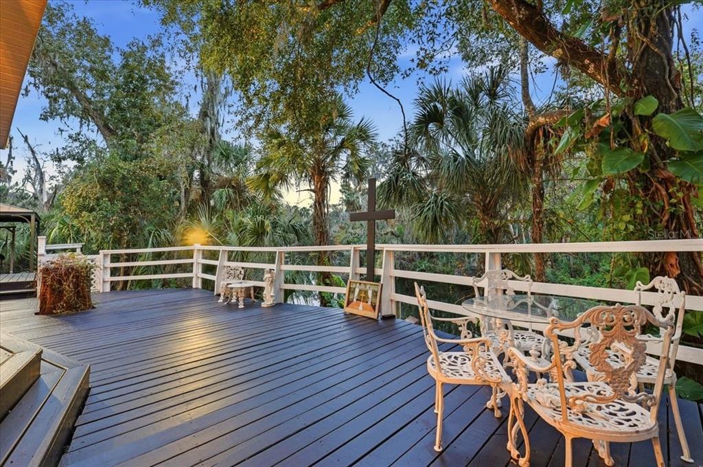 4703 Rambling River Road Brandon, FL 33511 - Photo 7 of 62 a view of a chairs and table on the deck