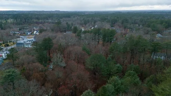 a view of a forest with a lake