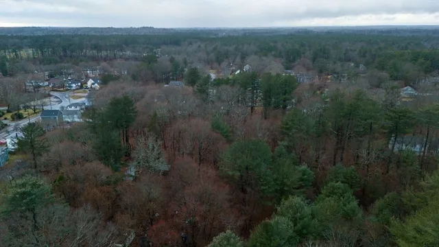 a view of a city with lush green forest