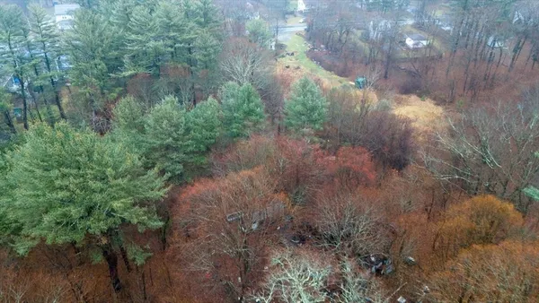 a view of a garden with plants