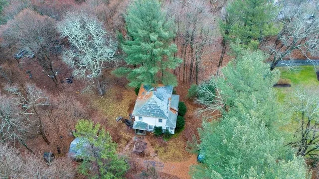 a view of a garden with plants