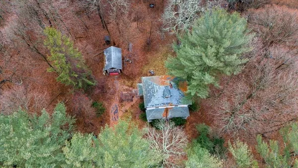 a view of a city with lush green forest