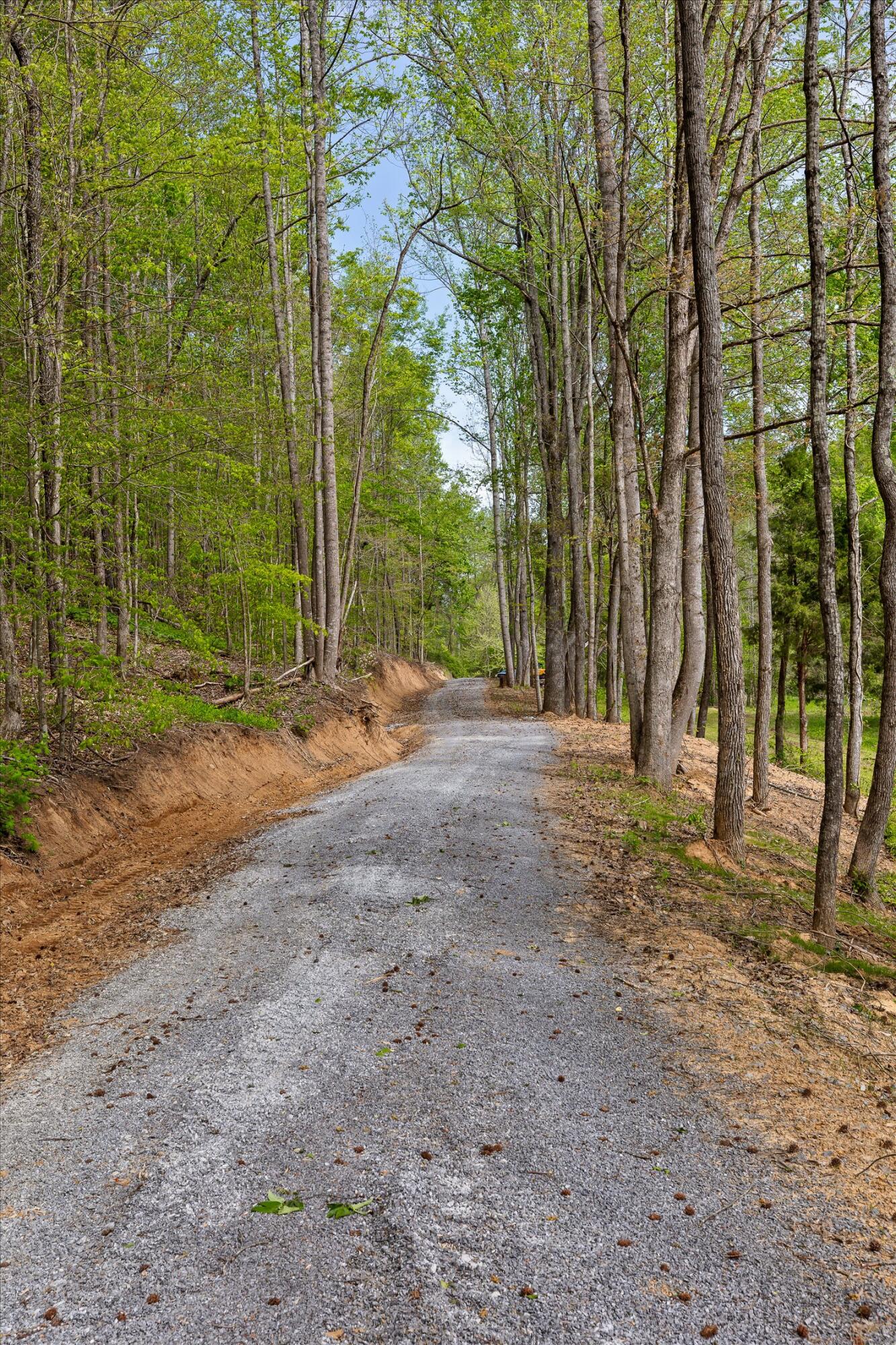 335 County Road 188 Decatur, TN 37322 - Photo 31 of 53 37-Co Rd 188-36