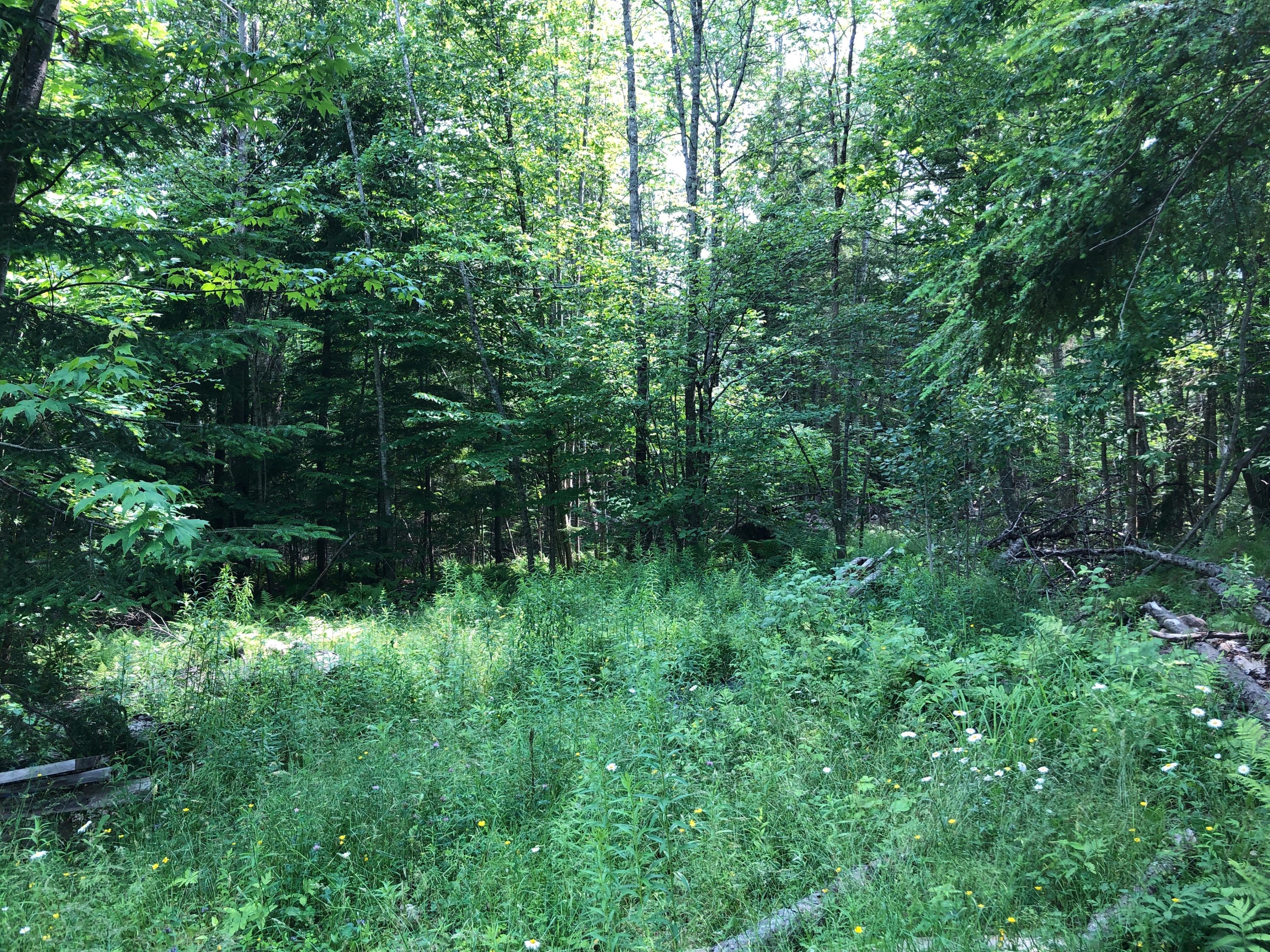 76 Heal Road Lincolnville, ME 04849 - Photo 1 of 1 Heal