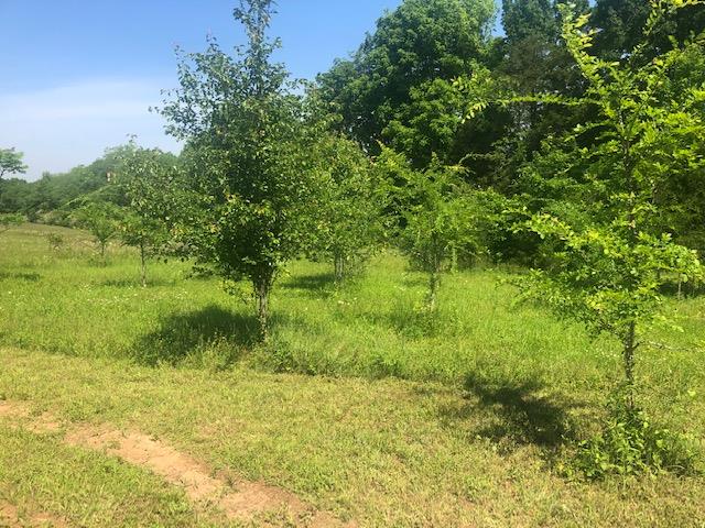450 Sims Spring Road Shelbyville, TN 37160 - Photo 18 of 29 Gallery Image 18