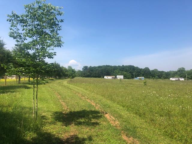 450 Sims Spring Road Shelbyville, TN 37160 - Photo 20 of 29 Gallery Image 20