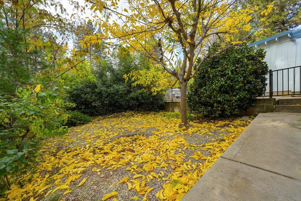 128 Main Street Gold Run, CA 95717 - Photo 25 of 44 a view of empty room with wooden fence