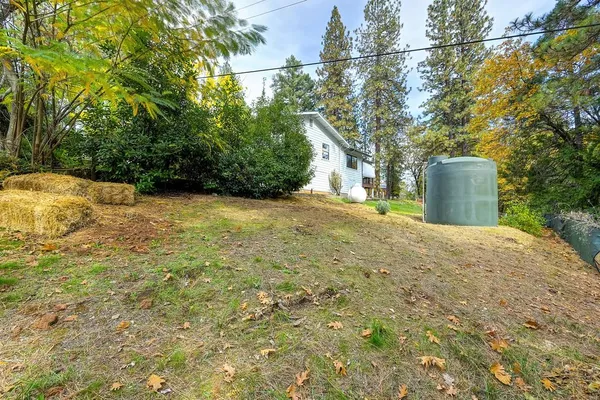 a view of a yard with a tree