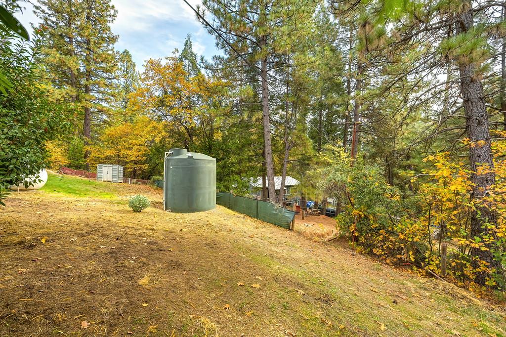 128 Main Street Gold Run, CA 95717 - Photo 28 of 44 a view of a outdoor space and a yard