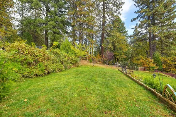 a view of yard with green space