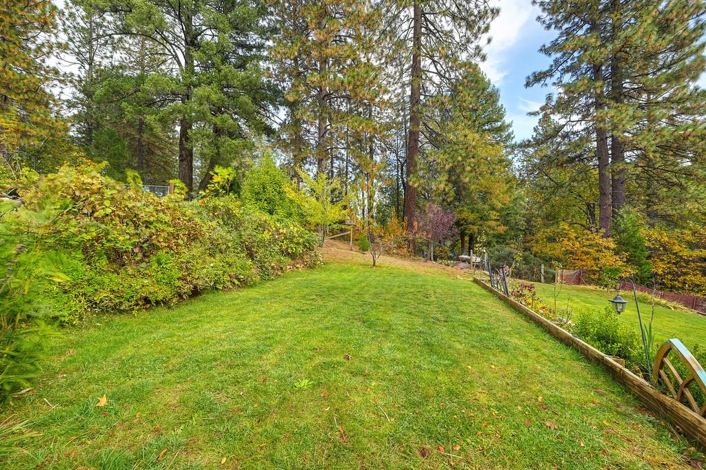 128 Main Street Gold Run, CA 95717 - Photo 36 of 44 a view of yard with green space