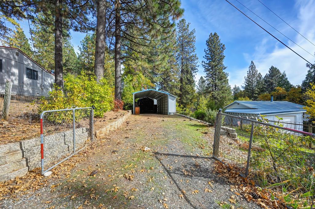 128 Main Street Gold Run, CA 95717 - Photo 38 of 44 a view of a backyard