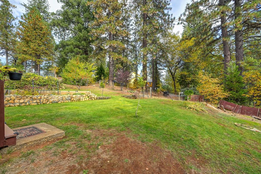 128 Main Street Gold Run, CA 95717 - Photo 41 of 44 a view of yard with green space