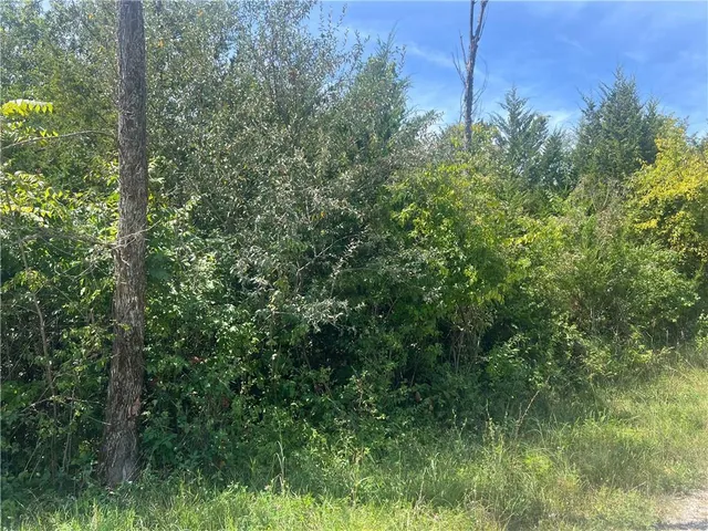 $10,000 | Angela Lane, Excelsior Springs, MO 64024