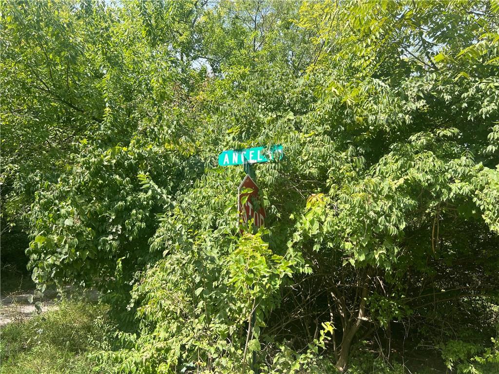 Angela Lane Excelsior Springs, MO 64024 - Photo 4 of 6