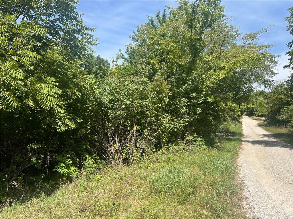 Angela Lane Excelsior Springs, MO 64024 - Photo 5 of 6