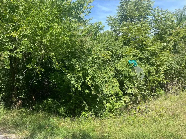 $10,000 | Angela Lane, Excelsior Springs, MO 64024