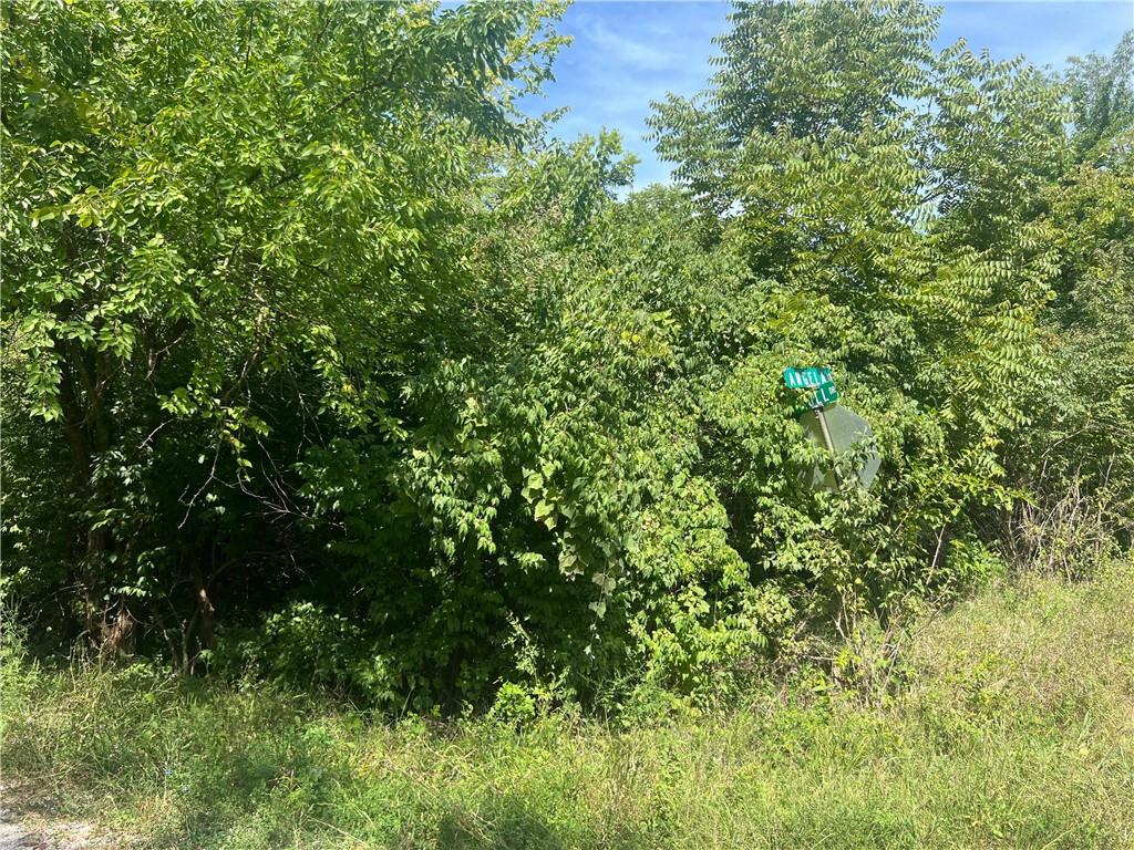 Angela Lane Excelsior Springs, MO 64024 - Photo 6 of 6