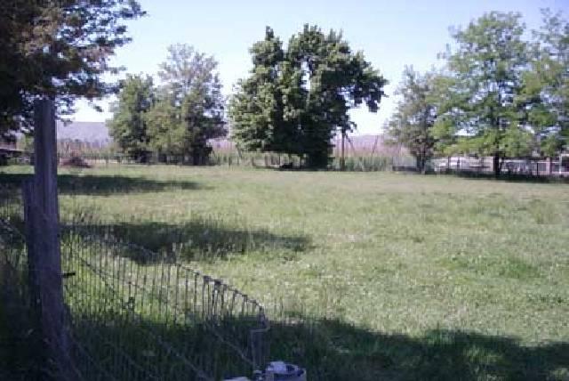 5606 Mieras Road Yakima, WA 98901 - Photo 5 of 9 a view of lake with a yard