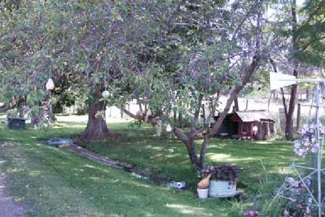 5606 Mieras Road Yakima, WA 98901 - Photo 9 of 9 a view of a garden with a tree