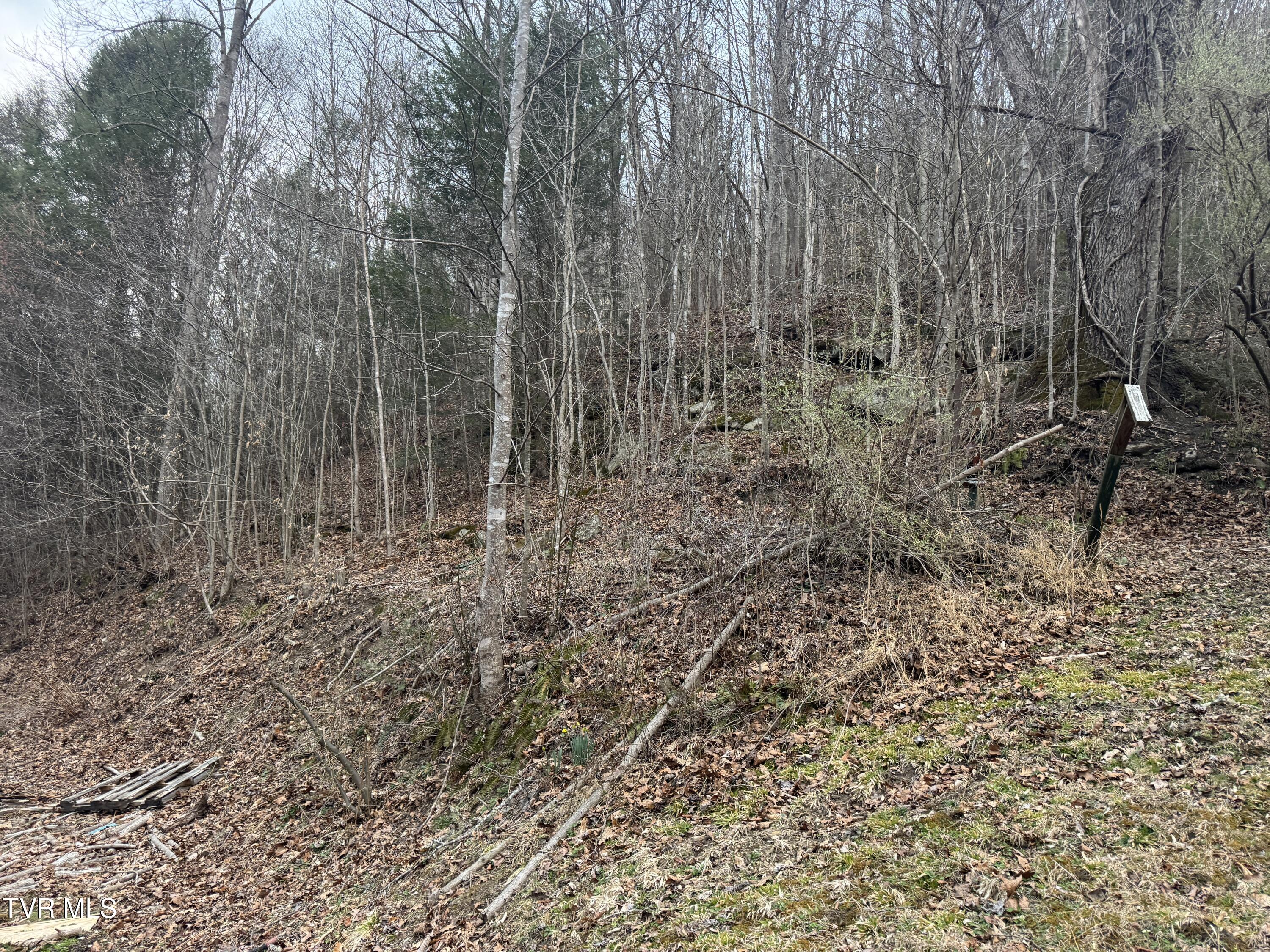 195 Hanging Tree Road Dante, VA 24237 - Photo 11 of 20 IMG_5608