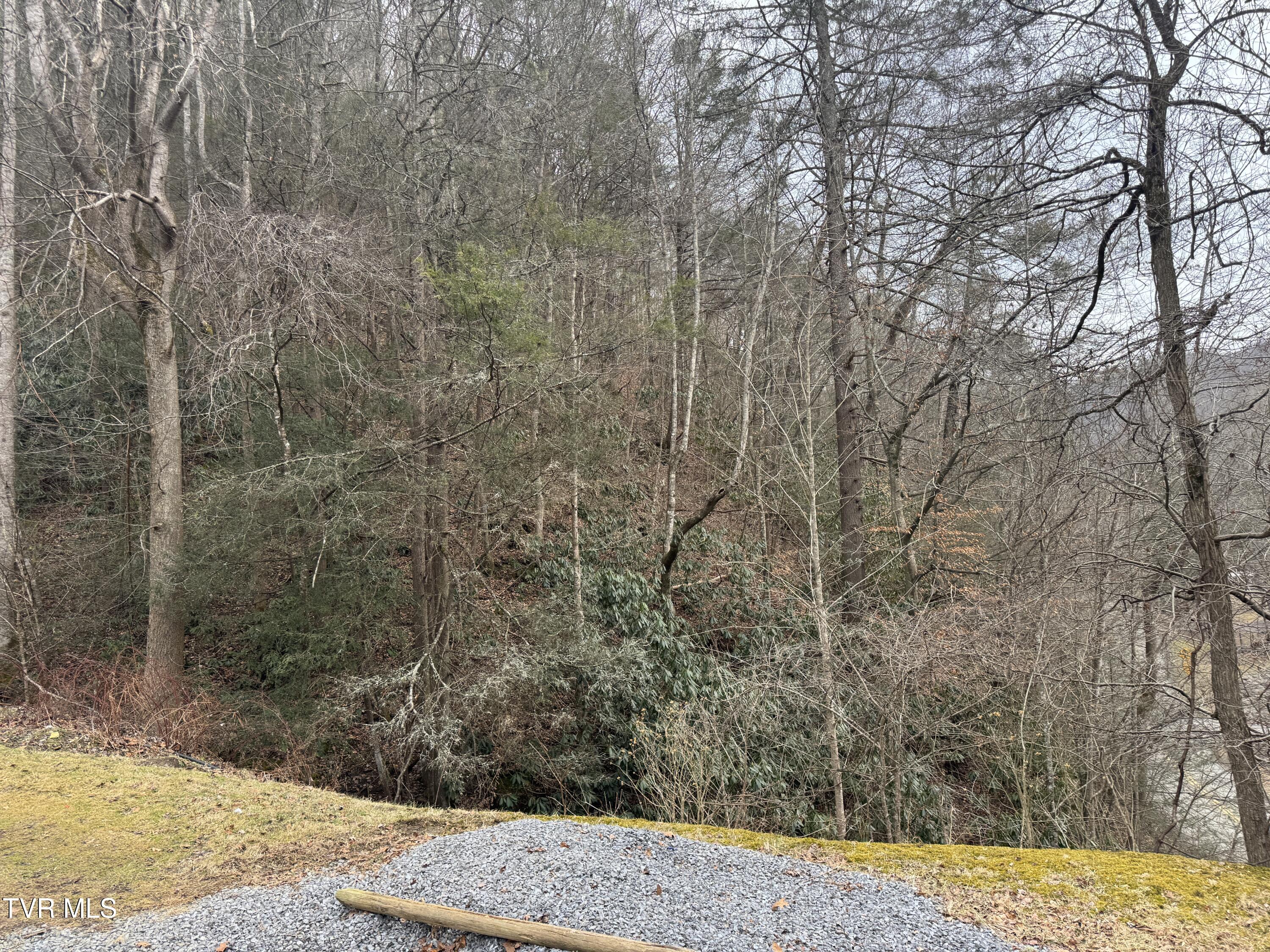 195 Hanging Tree Road Dante, VA 24237 - Photo 12 of 20 IMG_5460