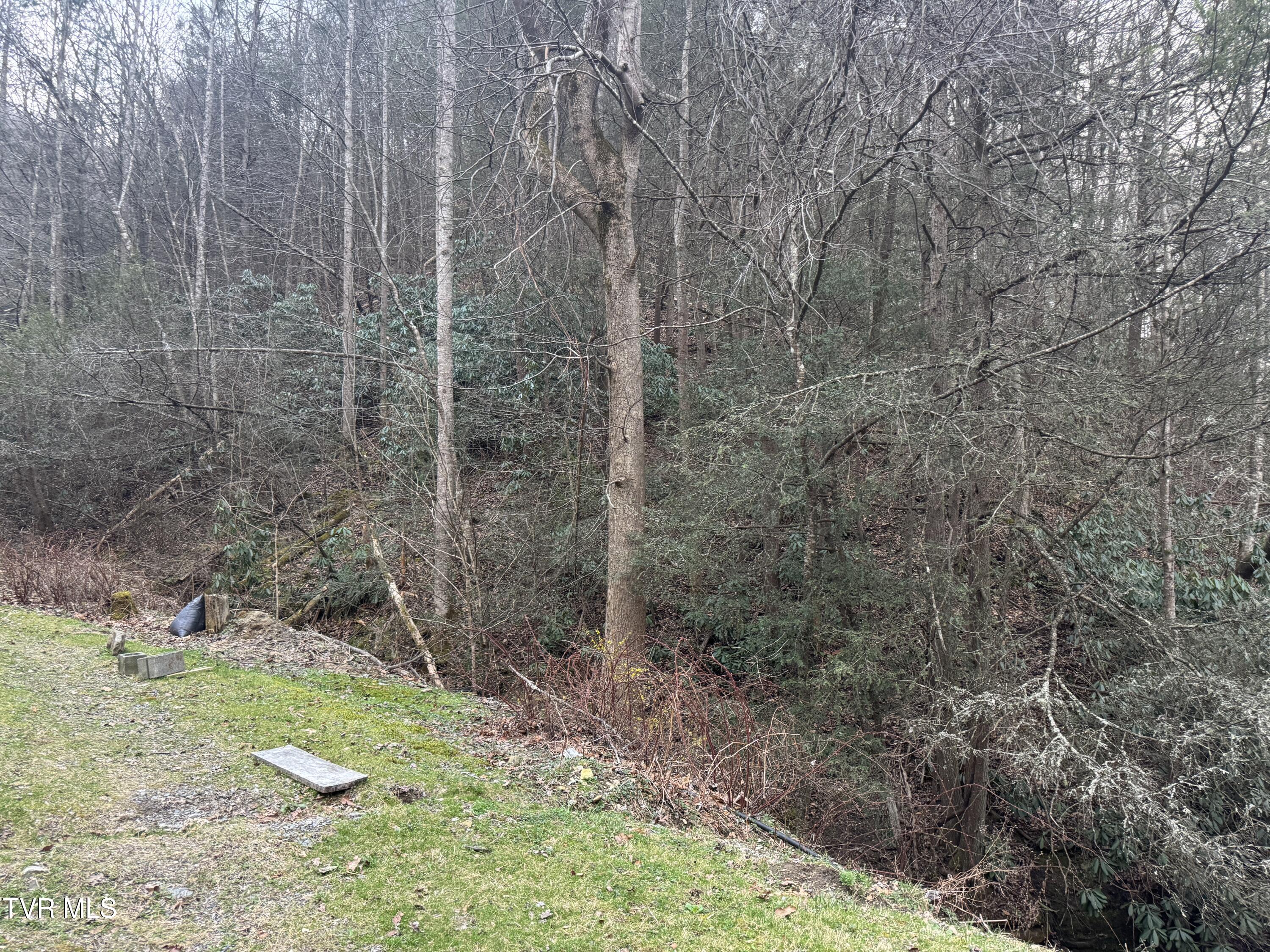 195 Hanging Tree Road Dante, VA 24237 - Photo 17 of 20 IMG_5600 2