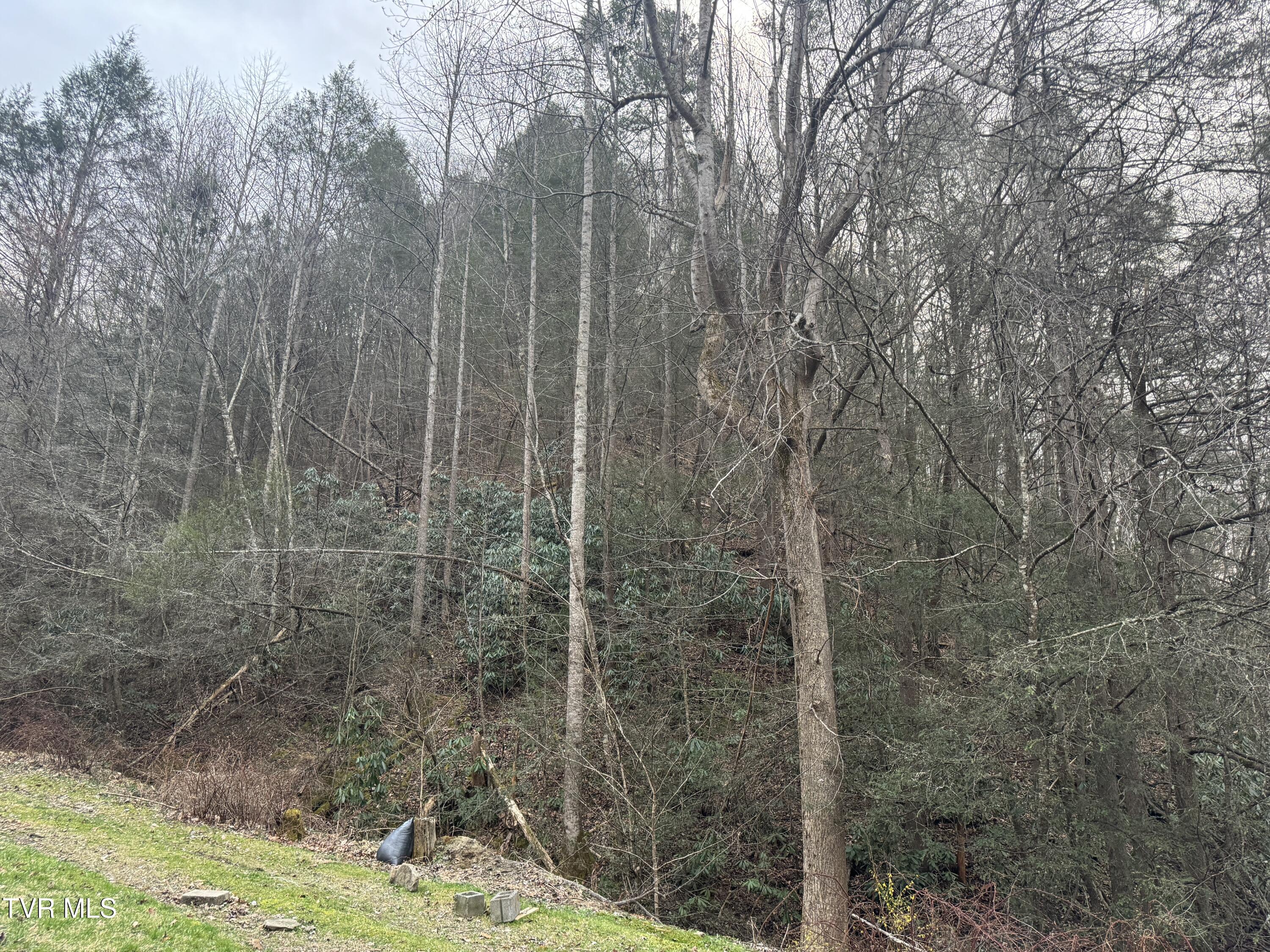 195 Hanging Tree Road Dante, VA 24237 - Photo 19 of 20 IMG_5604 2