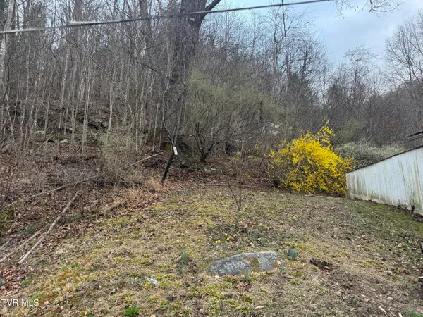$89,500 | 195 Hanging Tree Road, Dante, VA 24237