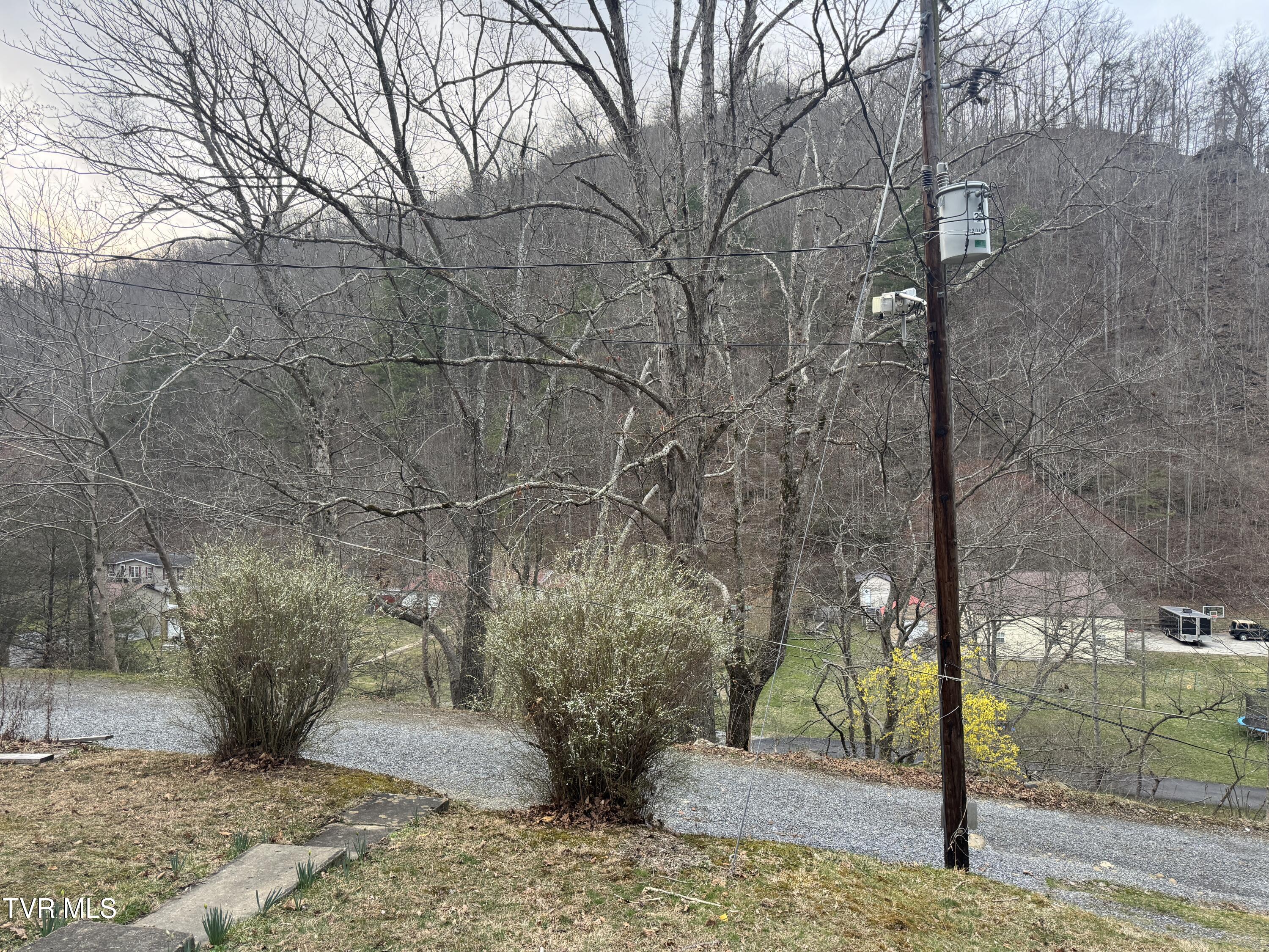 195 Hanging Tree Road Dante, VA 24237 - Photo 4 of 20 IMG_5609 2