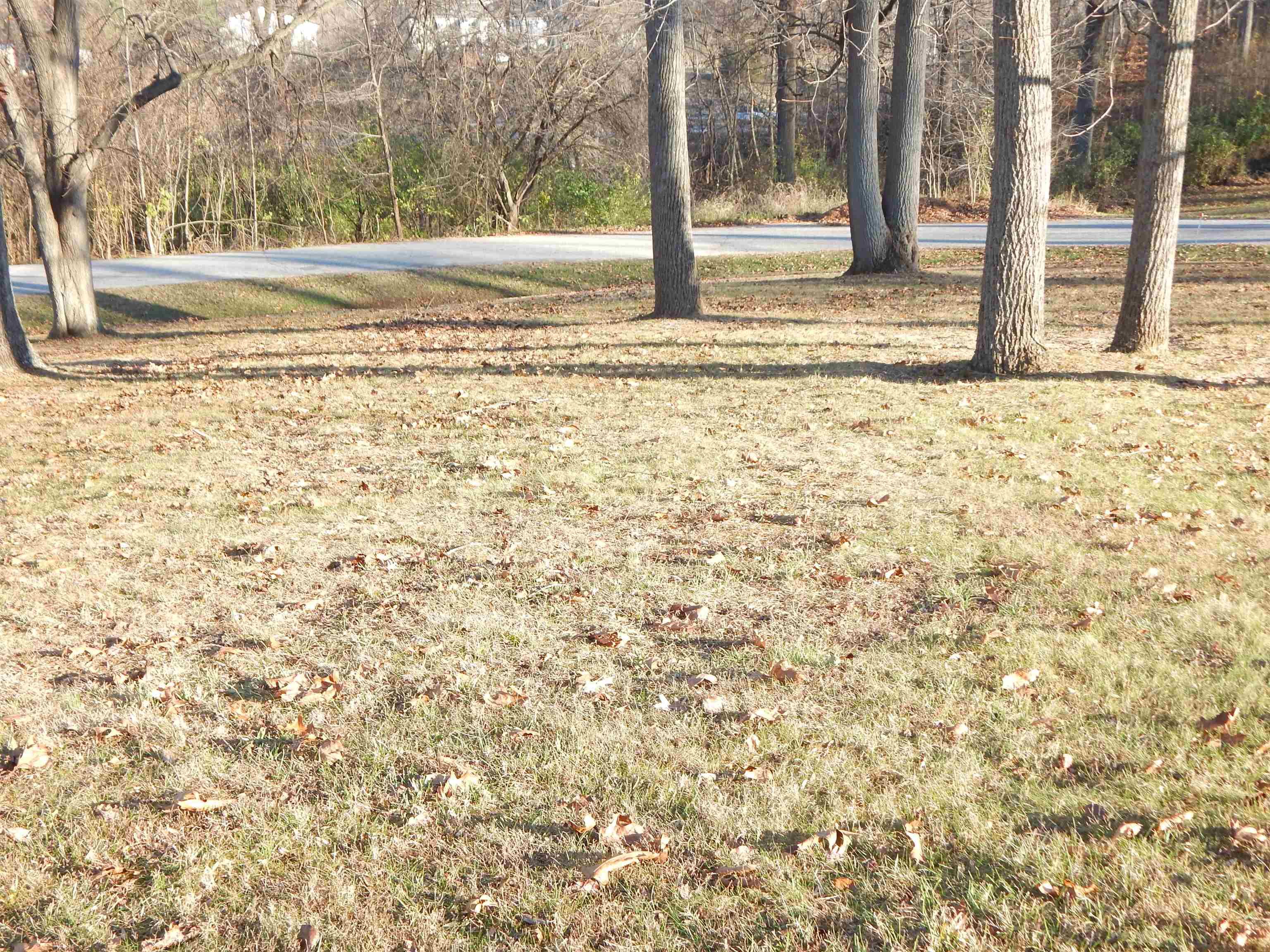 532 Bex Addition Road Bedford, IN 47421 - Photo 24 of 28