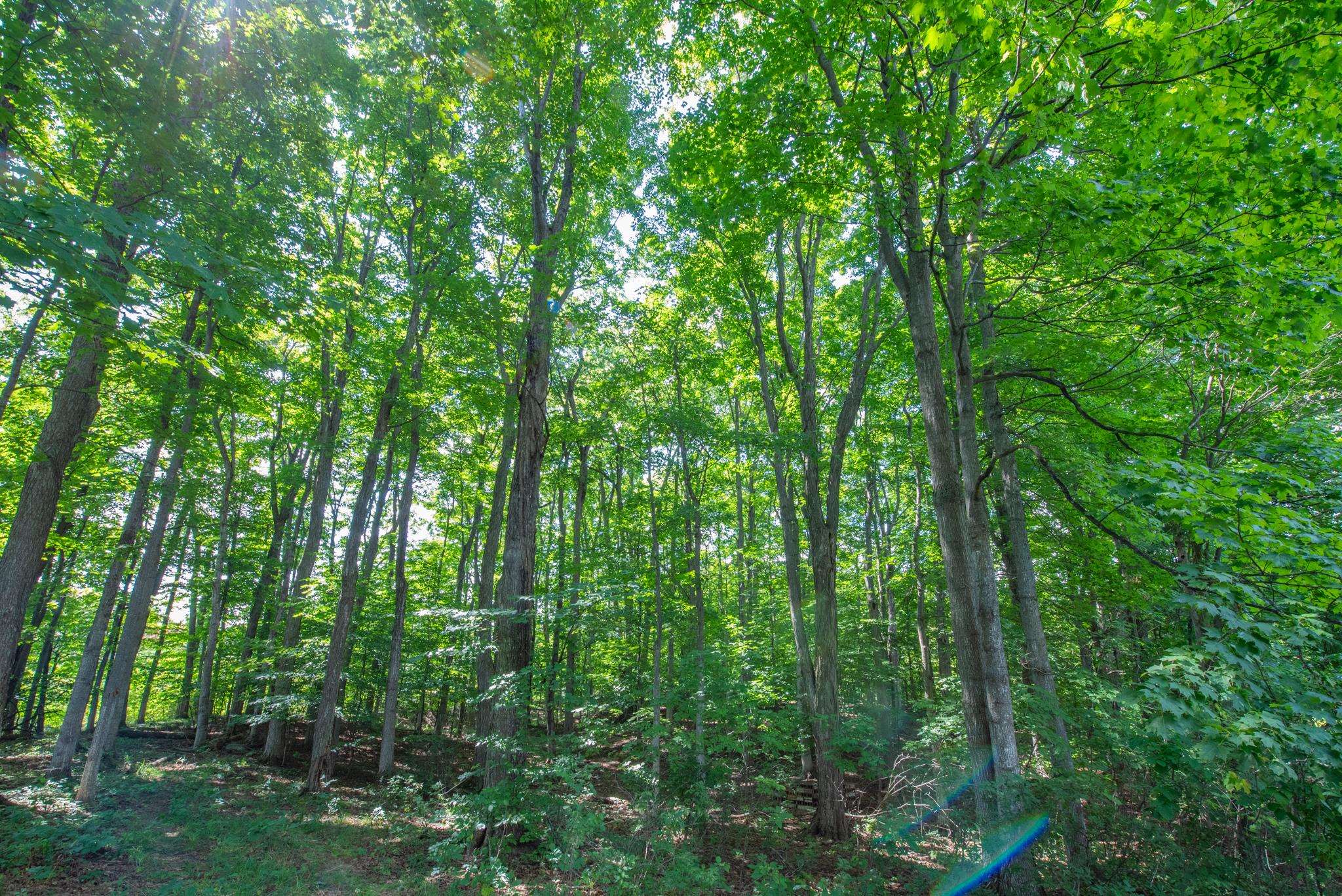 3300 Zimmerman Road Traverse City, MI 49685 - Photo 13 of 36