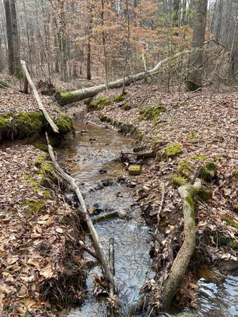 a view of outdoor space