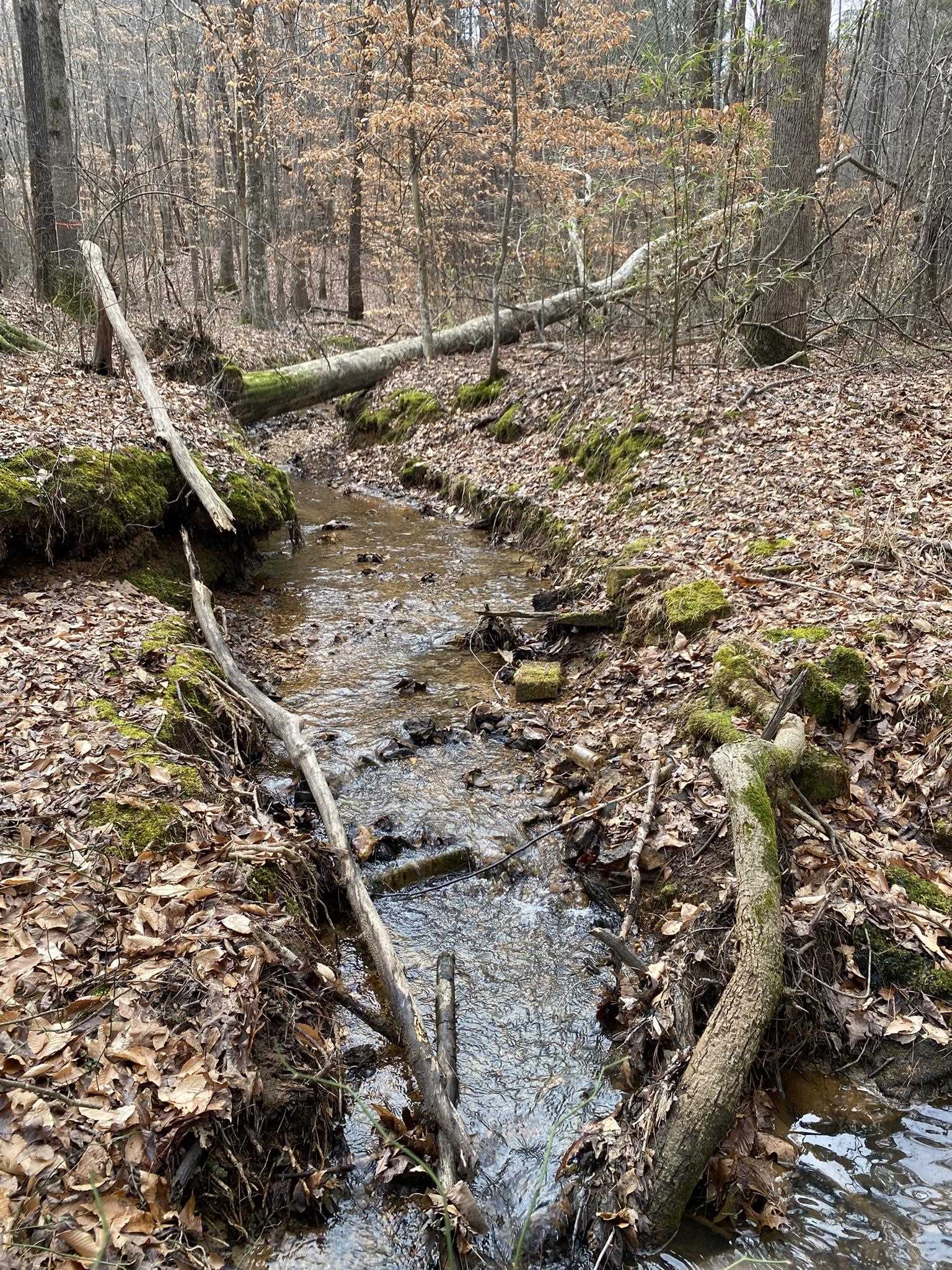 View of undeveloped land featuring a large body of water