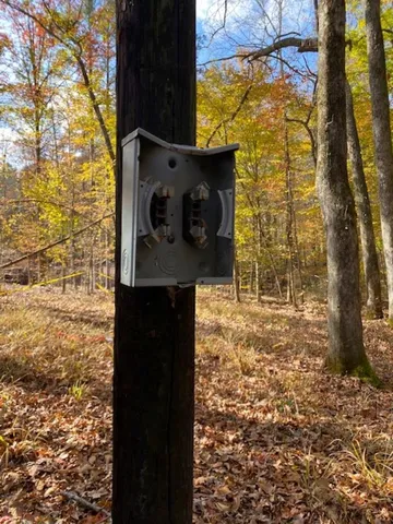 a picture of flowers