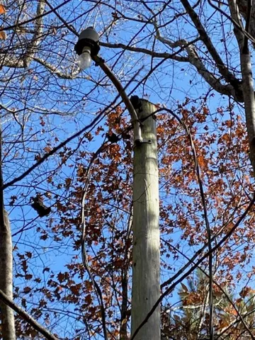 a view of a swimming pool with chairs