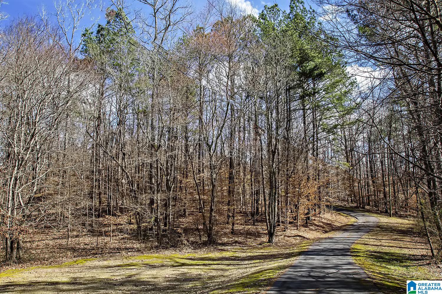 6911 Deer Haven Road Pinson, AL 35126 - Photo 52 of 52