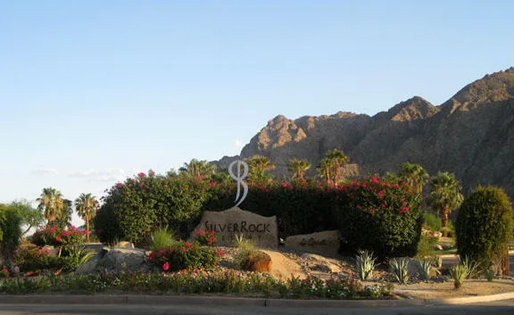 a view of a yard in front of a house