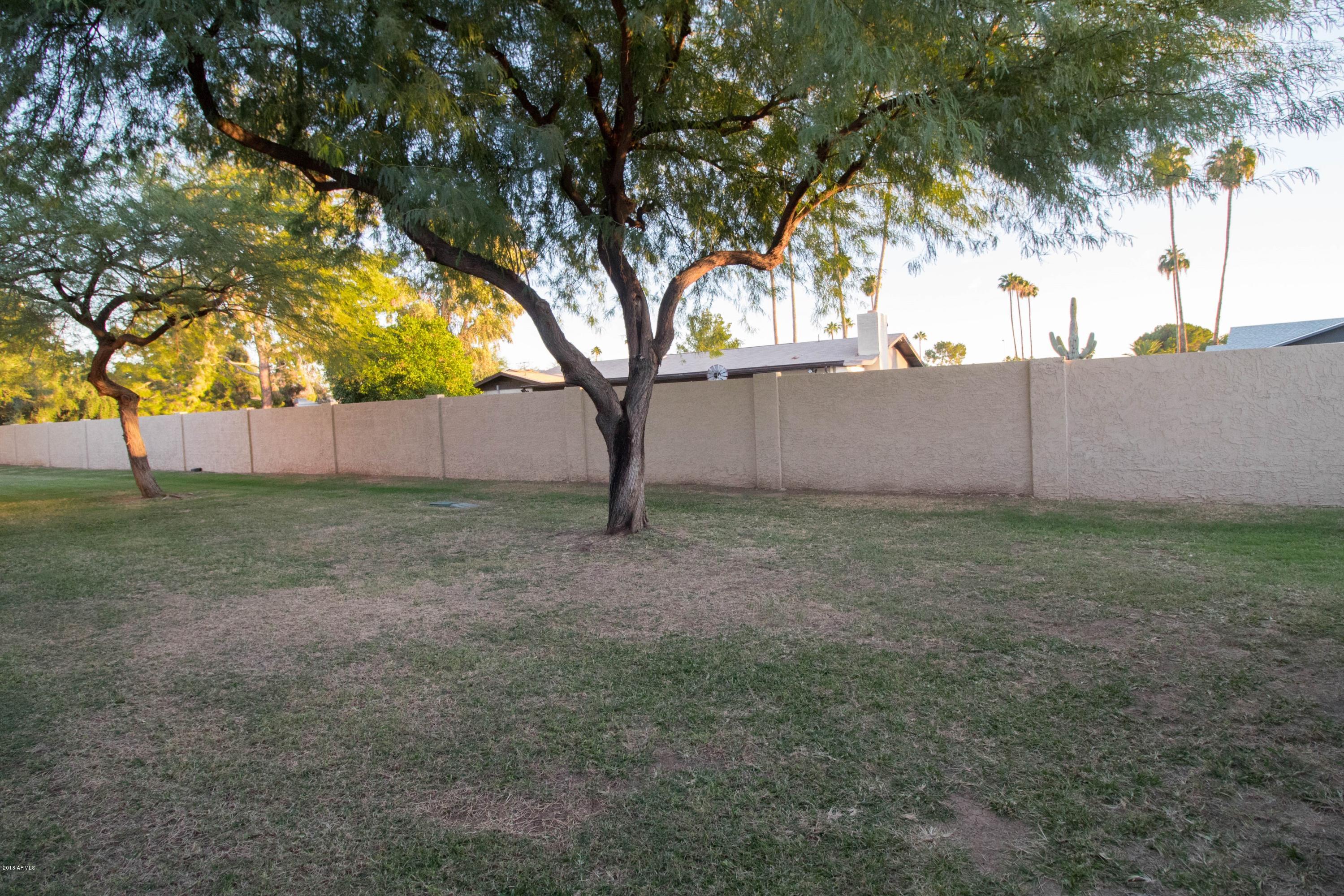 2059 East Brown Road, Unit 40 Mesa, AZ 85213 - Photo 20 of 25 IMG_0038