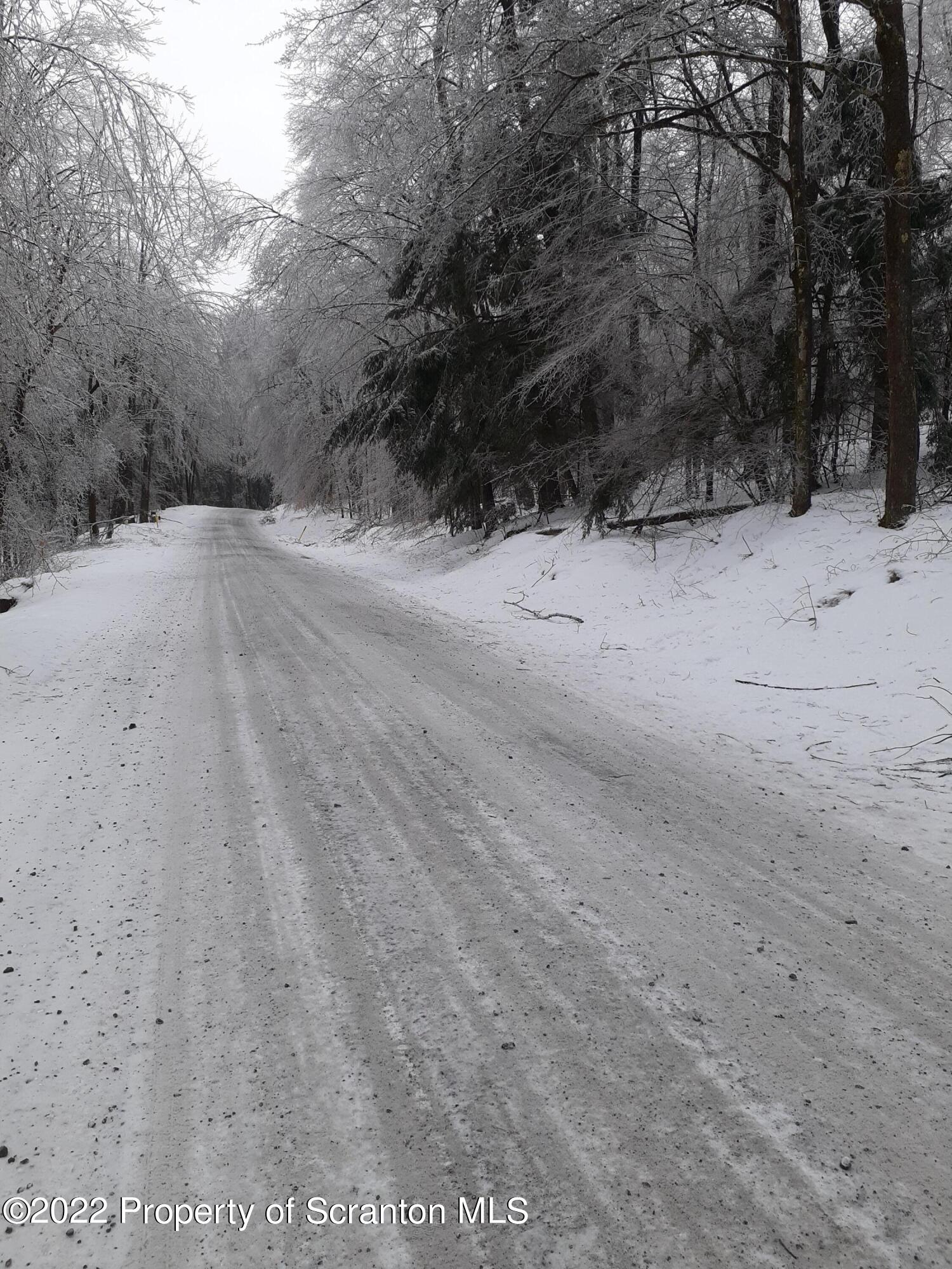 Whitney Hill Road Thompson, PA 18465 - Photo 2 of 6 Road