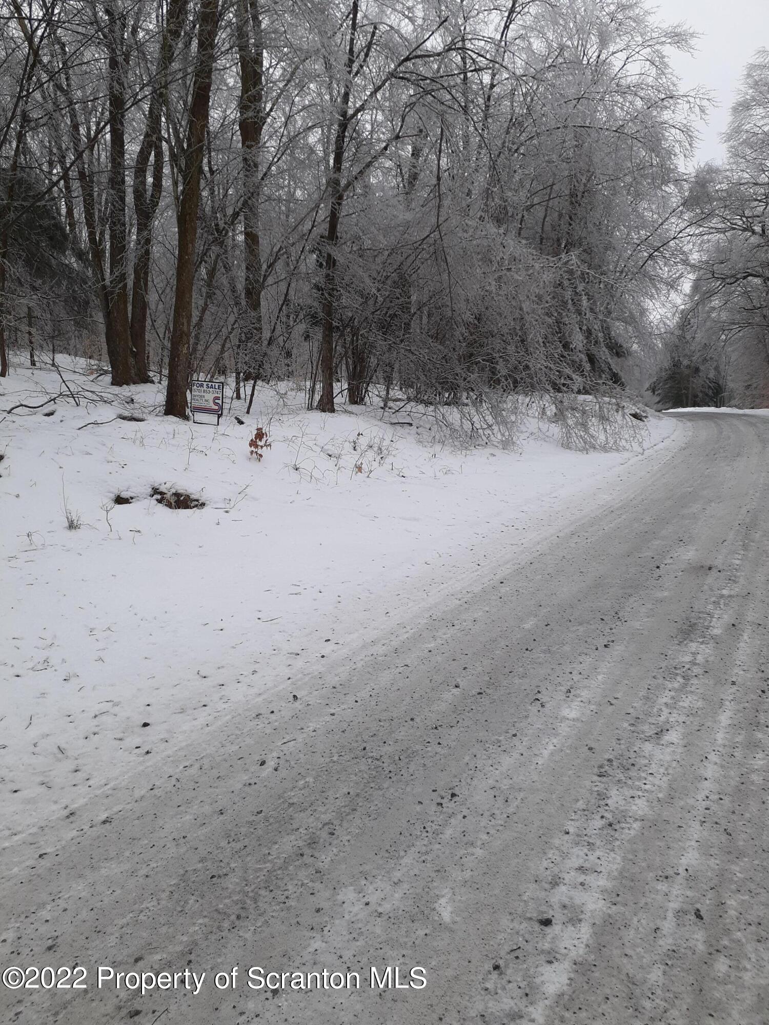 Whitney Hill Road Thompson, PA 18465 - Photo 6 of 6 Other