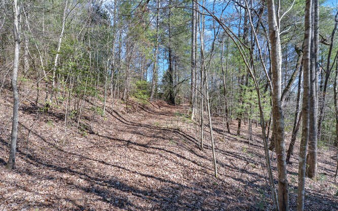 136 Caney Br Road Murphy, NC 28906 - Photo 39 of 41