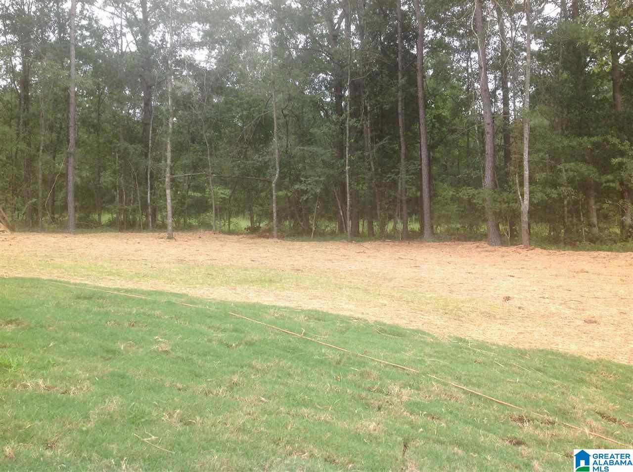540 Creek Ridge Drive Riverside, AL 35135 - Photo 40 of 42