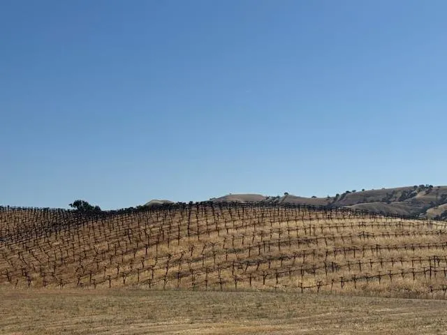 $399,000 | 9670 Cabernet Court, Patterson, CA 95363