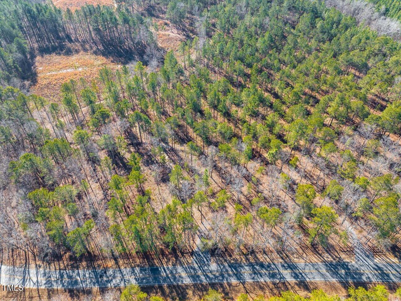 2 Robedo Rd Mount Mount Gilead, NC 27306 - Photo 4 of 28 04-004-Tract2-RobedoRd-MontgomeryCounty-