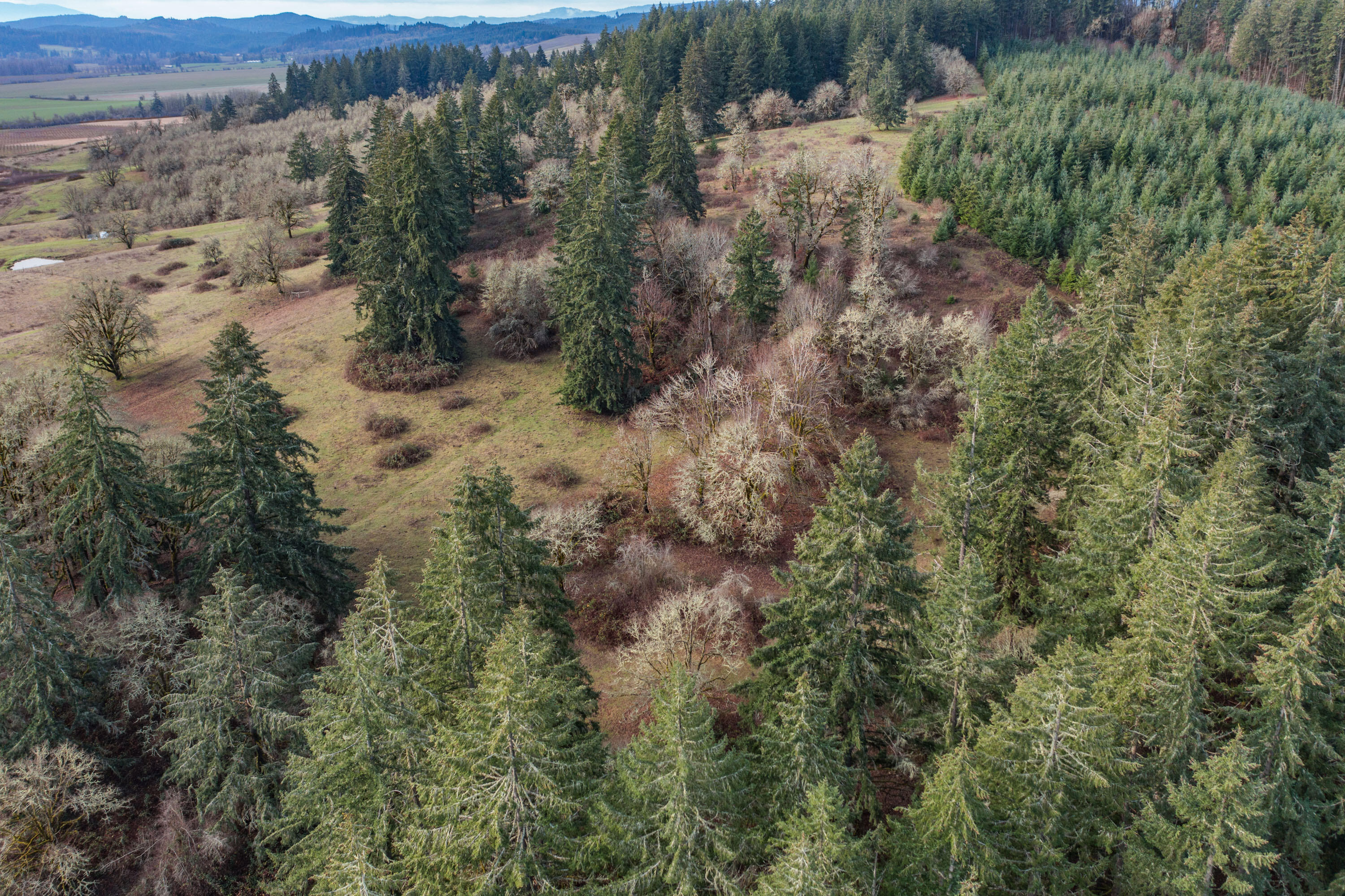 0 Airlie Road Monmouth, OR 97361 - Photo 20 of 33 Export-0837