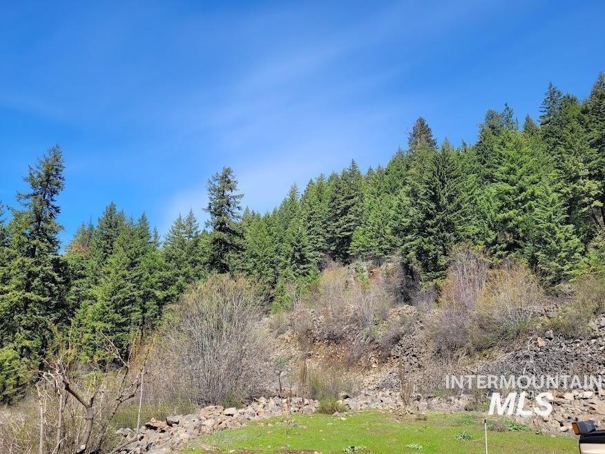 112 Three Forks Road Kamiah, ID 83536 - Photo 38 of 45 View of undeveloped land
